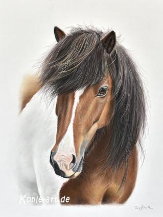 Gemälde von Iris Konle