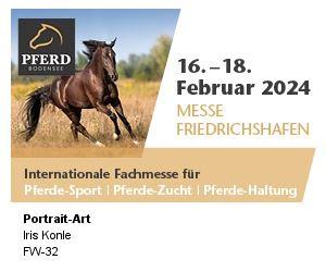 Ausstellung Iris Kohnle