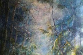Bild von Heidi Hahn
