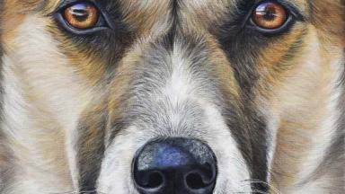 Gemälde von Iris Konle