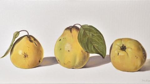 Gemälde von Iris Kohnle